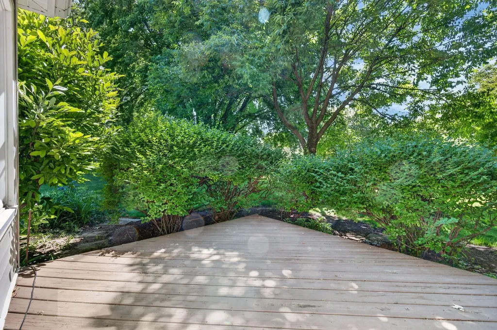 226 Ketten Drive Naperville IL 60563