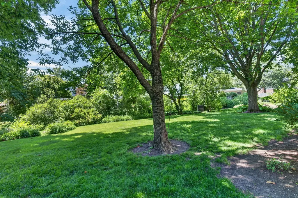 226 Ketten Drive Naperville IL 60563