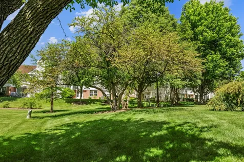 2910 Belle Lane Schaumburg IL 60193