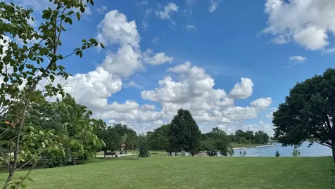 960 Alfini Drive Des Plaines IL 60016