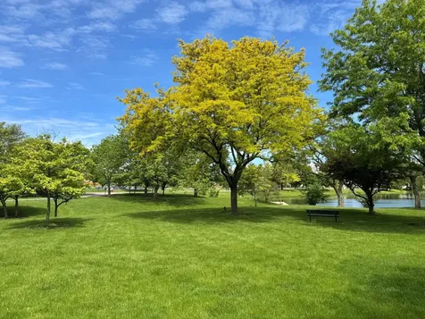 960 Alfini Drive Des Plaines IL 60016