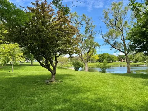 960 Alfini Drive Des Plaines IL 60016