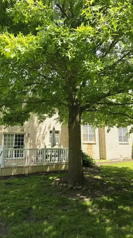 4205 Alex Drive Crystal Lake IL 60012
