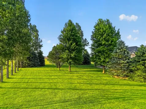 23401 Lucas Road Dekalb IL 60115