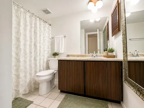 1724 Fayette Walk Hoffman Estates IL 60169