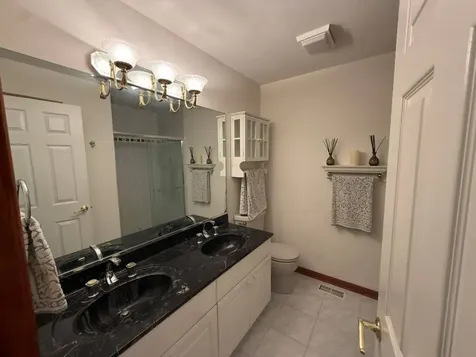 133 Schiller Place Itasca IL 60143