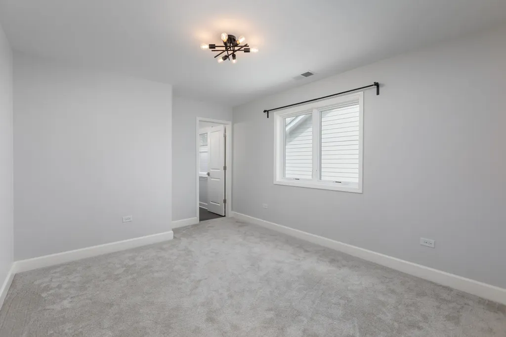 1321 North Webster Street Naperville IL 60563