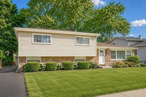 554 Patton Drive Buffalo Grove IL 60089