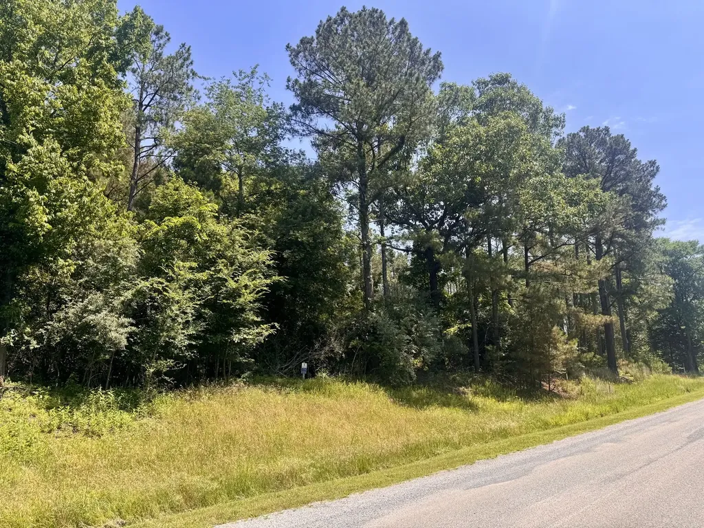 Lot 273 & 274 Rocky Point Road Goreville IL 62939