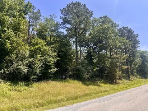 Lot 273 & 274 Rocky Point Road Goreville IL 62939