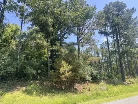 Lot 273 & 274 Rocky Point Road Goreville IL 62939