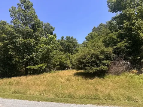 Lot 273 & 274 Rocky Point Road Goreville IL 62939