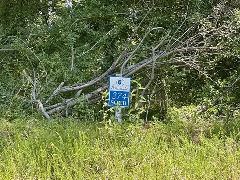 Lot 273 & 274 Rocky Point Road Goreville IL 62939