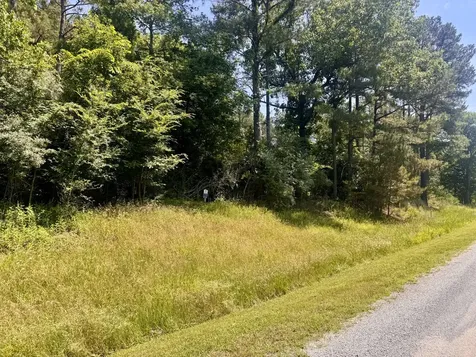 Lot 273 & 274 Rocky Point Road Goreville IL 62939