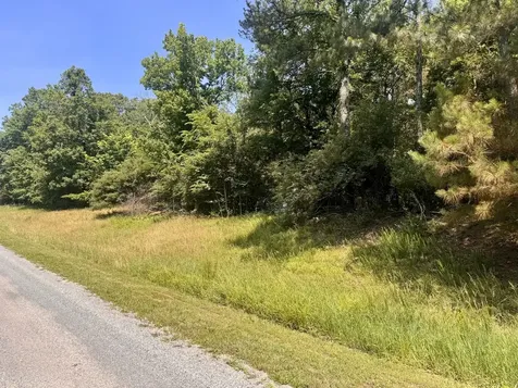 Lot 273 & 274 Rocky Point Road Goreville IL 62939