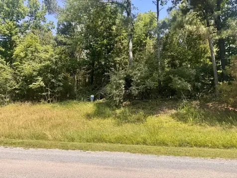 Lot 273 & 274 Rocky Point Road Goreville IL 62939