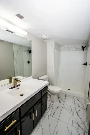 2837 East 223rd Street Sauk Village IL 60411