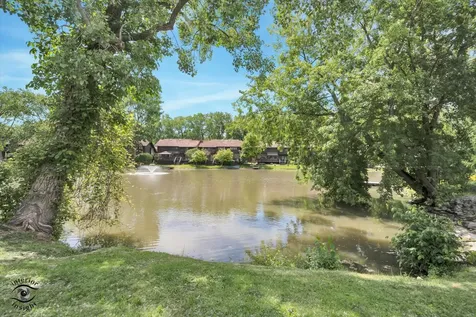 8771 West Waterfront Drive Palos Hills IL 60465
