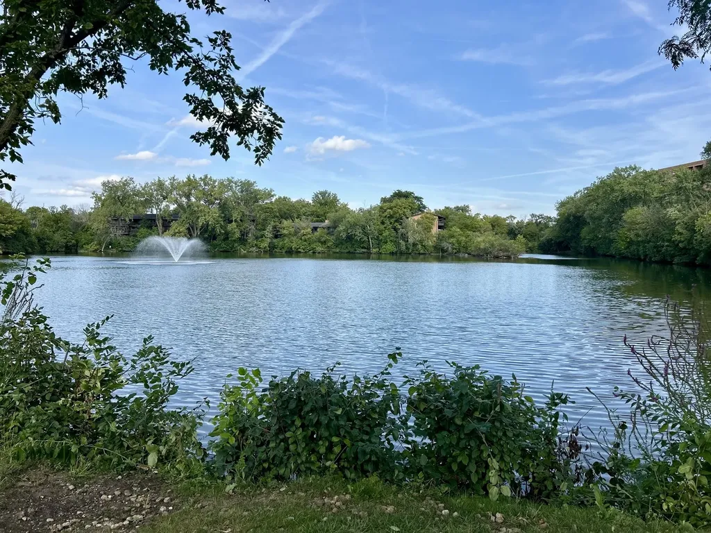 6010 Oakwood Drive Lisle IL 60532