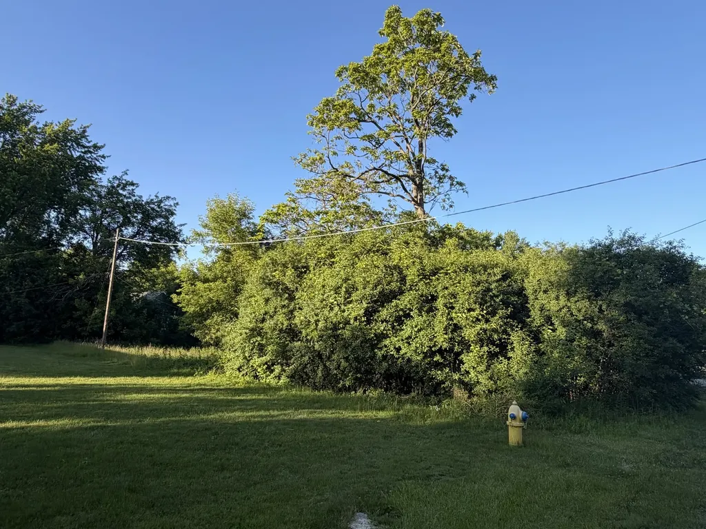 911 Safford Avenue Lake Bluff IL 60044