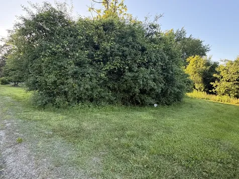 911 Safford Avenue Lake Bluff IL 60044