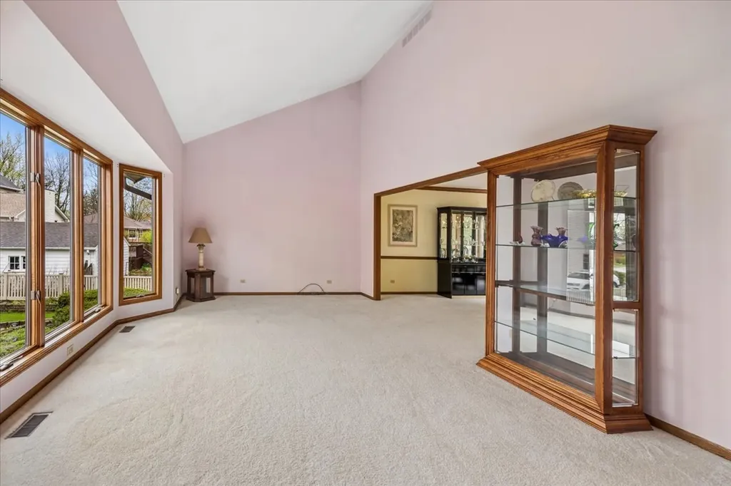 6037 Dunham Road Downers Grove IL 60516