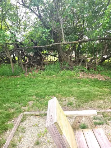 25/96 Woodhaven Sublette IL 61367