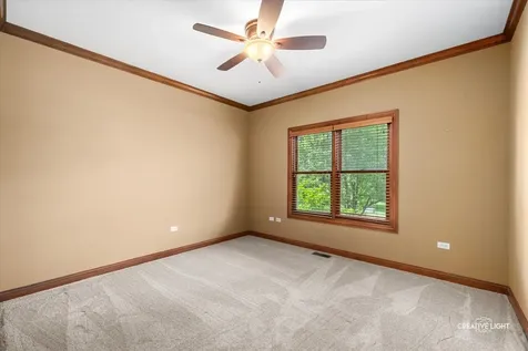 472 Arboretum Way Oswego IL 60543