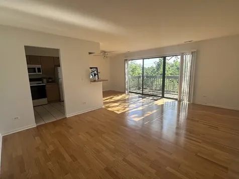 234 West Court Of Shorewood Vernon Hills IL 60061