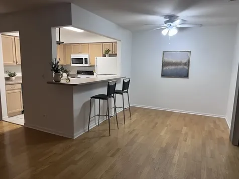 234 West Court Of Shorewood Vernon Hills IL 60061