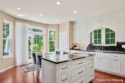 37041 North Deerpath Drive Lake Villa IL 60046