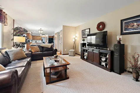 16748 Richards Drive Tinley Park IL 60477