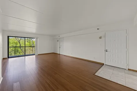 6010 Lake Bluff Drive Tinley Park IL 60477