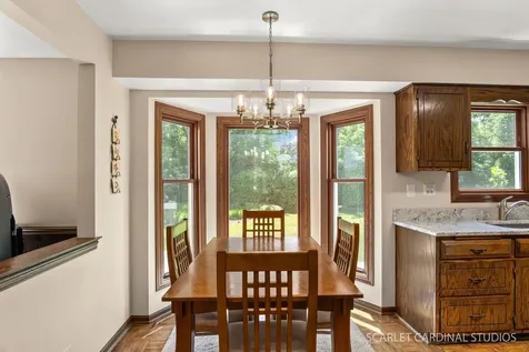 215 Alpine Drive Lake Zurich IL 60047