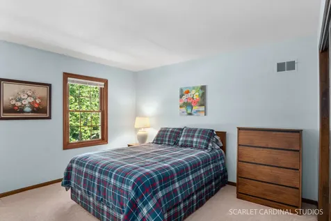 215 Alpine Drive Lake Zurich IL 60047