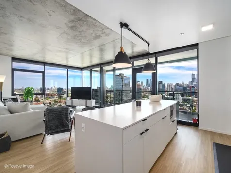 225 North Elizabeth Street Chicago IL 60607