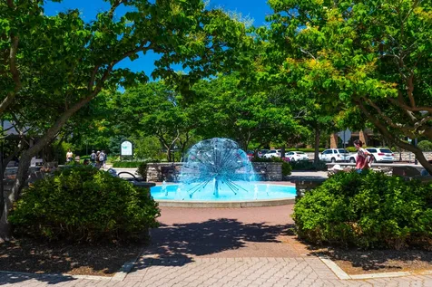 1636 Castle Lawn Court Naperville IL 60565