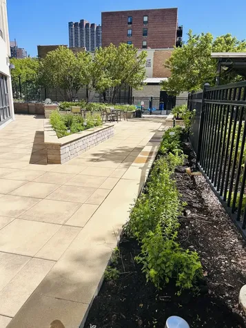 3930 North Pine Grove Avenue Chicago IL 60613