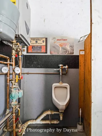 561 W Grant Street St. Anne IL 60964