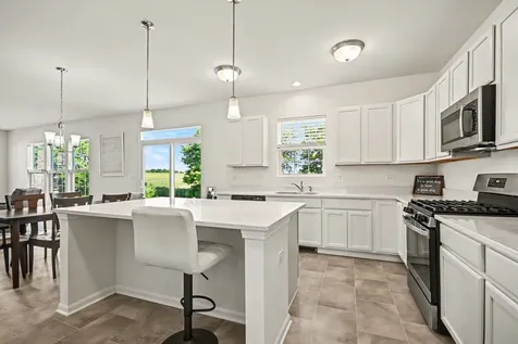 26530 West Red Apple Road Plainfield IL 60585