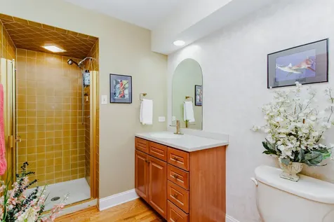 7022 Birchwood Avenue Niles IL 60714