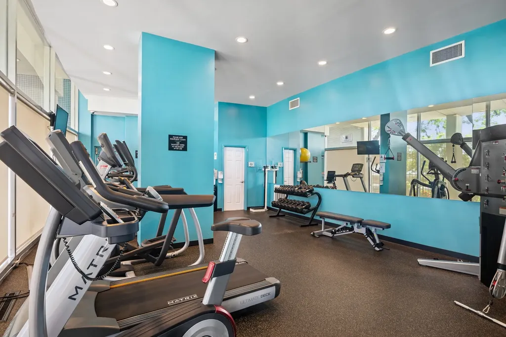 1150 North Lake Shore Drive Chicago IL 60611