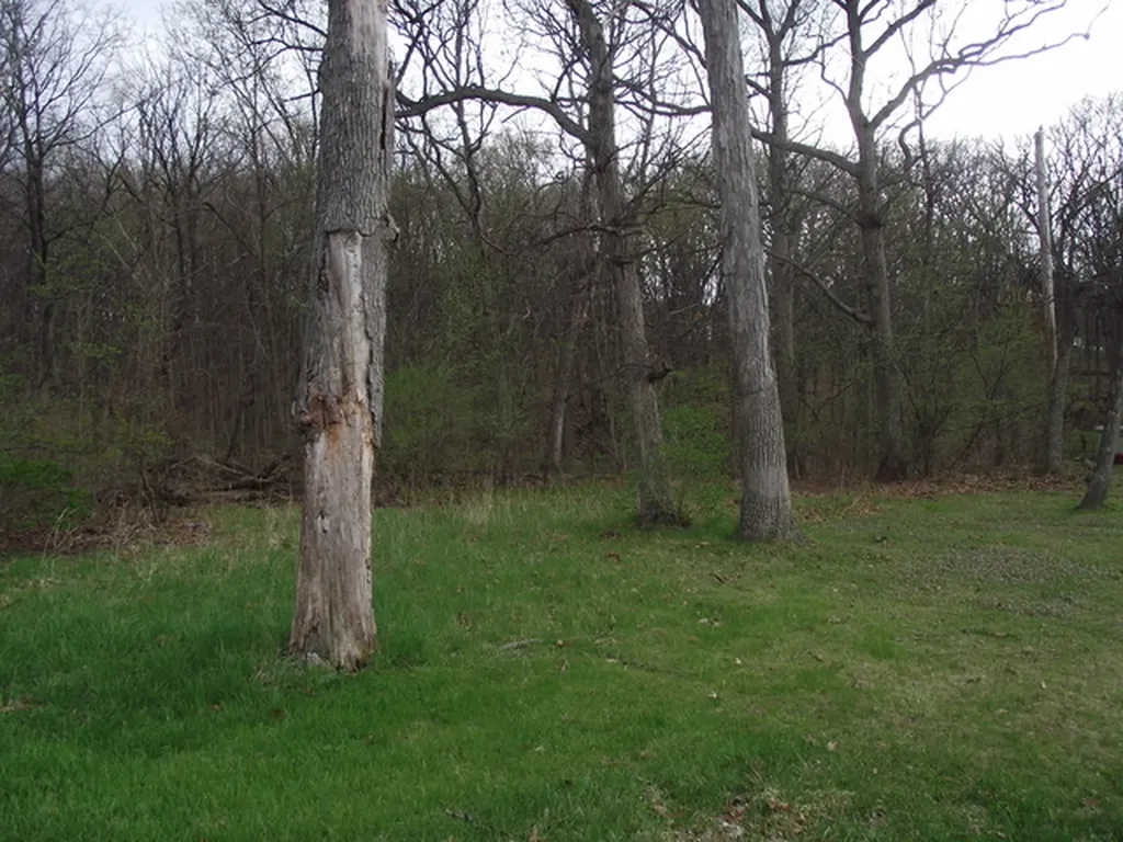 lot 012 Tuscola Avenue St. Charles IL 60174