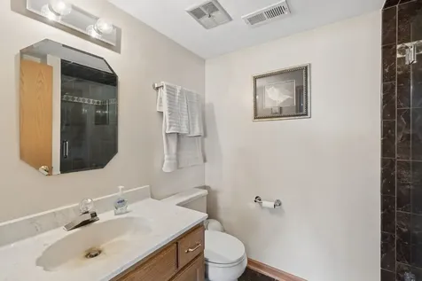 17218 Shetland Drive Tinley Park IL 60487