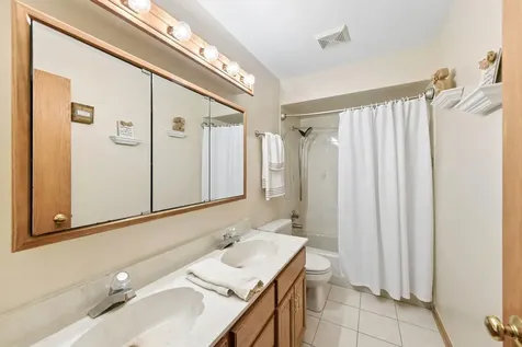 17218 Shetland Drive Tinley Park IL 60487