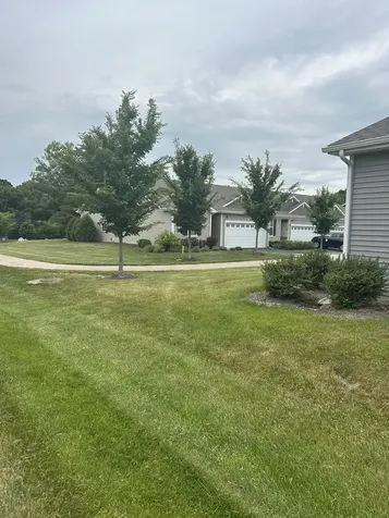 916 Darwin Street North Aurora IL 60542