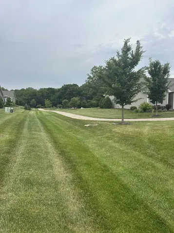 916 Darwin Street North Aurora IL 60542