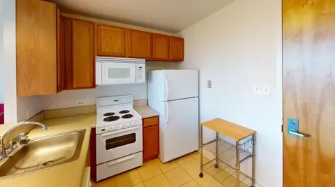 345 East Eastgate Place Chicago IL 60616