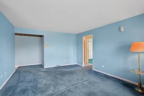 15719 Peggy Lane Oak Forest IL 60452