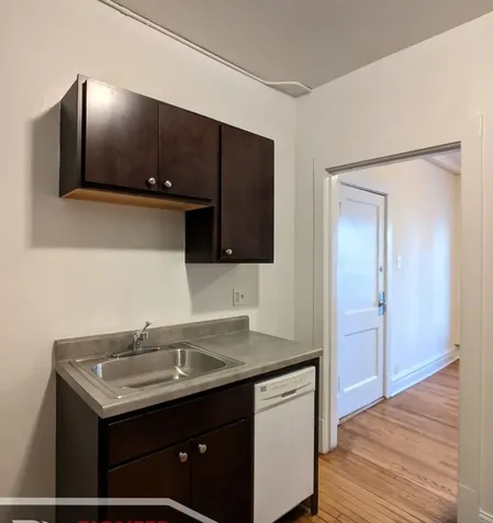 2919 West George Street Chicago IL 60618